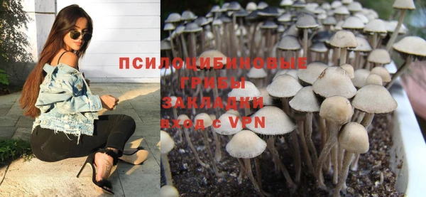 эйфоретик Богородск