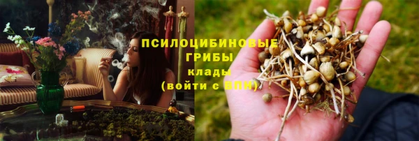 мет Богданович