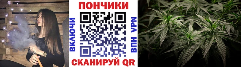 закладки  Валуйки  Шишки марихуана тримм 